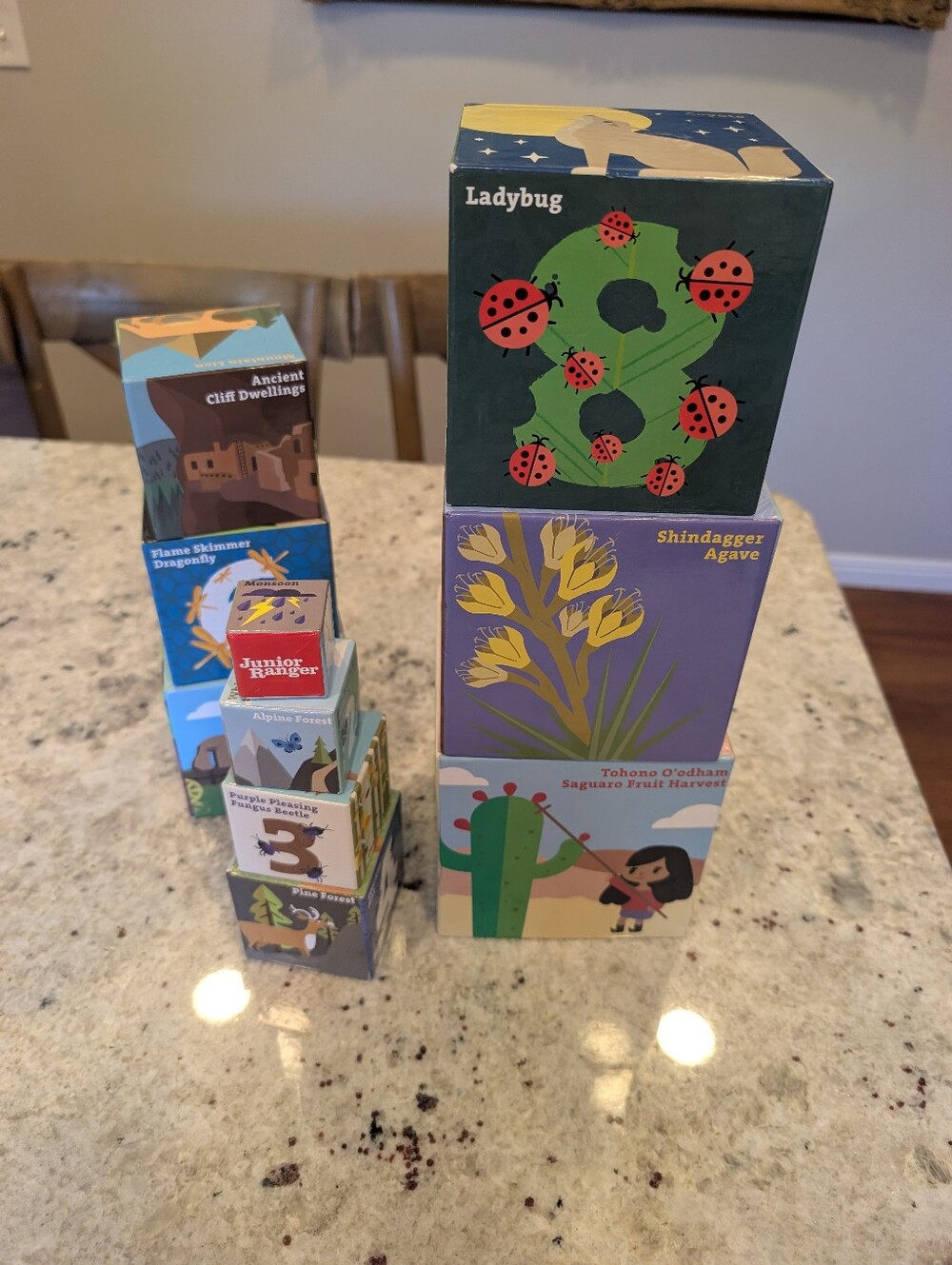Junior Ranger Arizona Southwest Theme Stacking Cube Set 10 Blocks